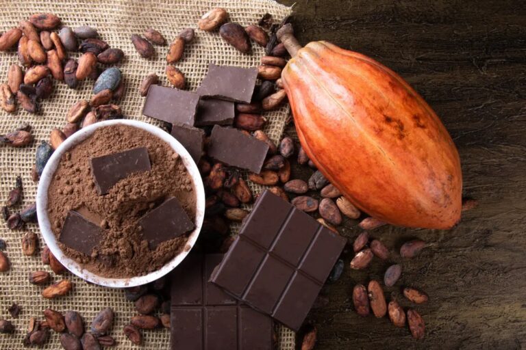 Cacao, memoria y emociones: por qué ciertos sabores activan recuerdos positivos